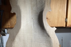 guarneri_5