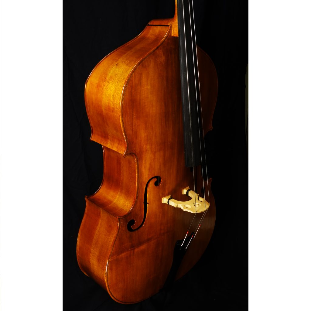 Testore Model
